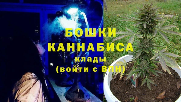 прущие грибы Абдулино
