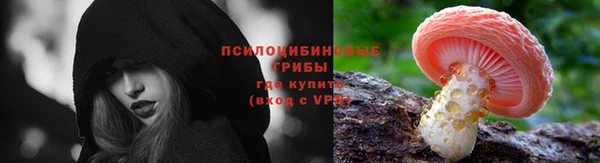прущие грибы Абдулино