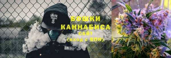 прущие грибы Абдулино