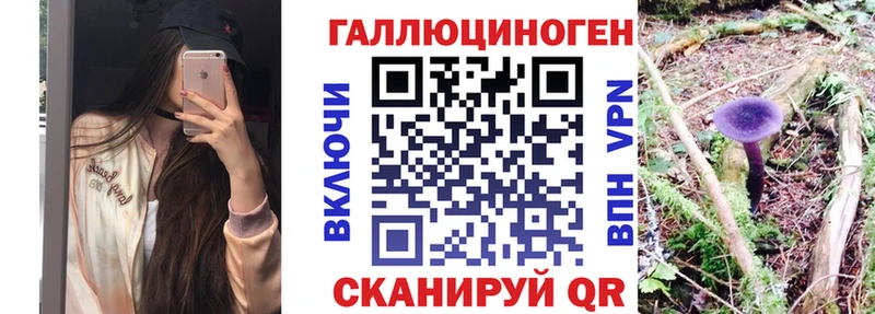 Псилоцибиновые грибы Psilocybe  Зерноград 