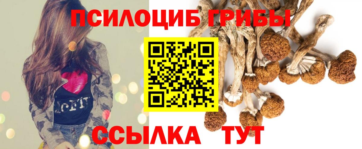 Псилоцибиновые грибы прущие грибы Зерноград