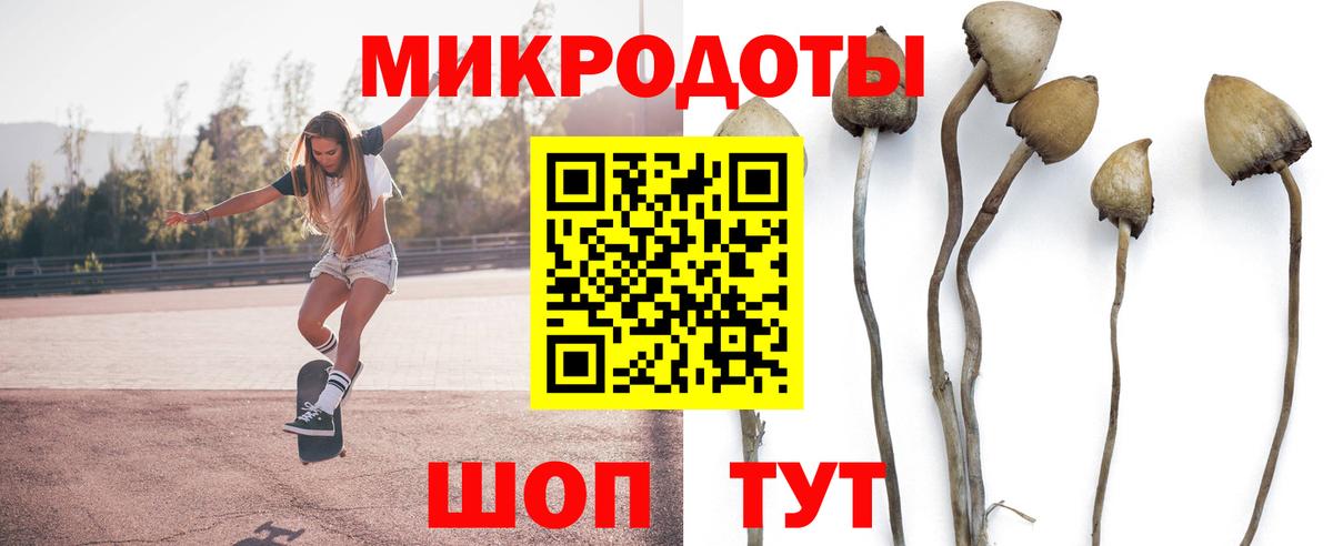 Галлюциногенные грибы Psilocybe  Вход с VPN  Зерноград 